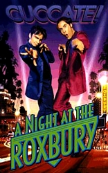 A night at the roxbury - dvd ex noleggio distribuito da 